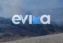 Οριοθετήθηκαν τα πύρινα μέτωπα στα Ζωνιανά και την Κάρυστο