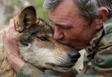 Το «αγόρι που μεγάλωσε με τους λύκους», Μάρκος Ροντρίγκεθ-Παντόχα, πέθανε σε ηλικία 80 ετών