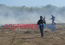 Φωτιά στο Νεοχώρι Πρέβεζας – Ήχησε το 112