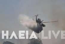 Φωτιά στην Aγία Μαρίνα Ηλείας