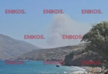 Φωτιά στη Σκύρο: «Ουσιαστικά έχει οριοθετηθεί» λέει ο δήμαρχος του νησιού