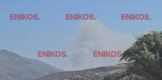 Φωτιά στη Σκύρο: «Ουσιαστικά έχει οριοθετηθεί» λέει ο δήμαρχος του νησιού