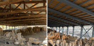 Δύο νέα έργα για την προστασία και ανάδειξη της Αμφίπολης – Ολοκληρώθηκε η συντήρηση της Αρχαίας Ξύλινης Γέφυρας στον Στρυμόνα