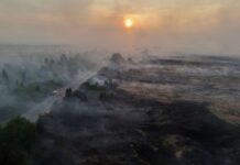 Βέλγιο: Εντολή απομάκρυνσης κατοίκων από τα σπίτια τους εξαιτίας πυρκαγιάς που κατευθύνεται στη Γερμανία