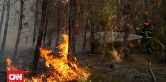 Γαλλία: Νέα φωτιά σε δάσος της Λαντ – Τουλάχιστον 400 κάτοικοι απομακρύνθηκαν από τα σπίτια τους