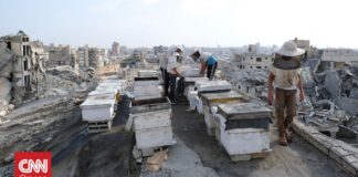 Γάζα: Νέα αρχή για τους μελισσοκόμους μετά την καταστροφή του 95% των κυψελών