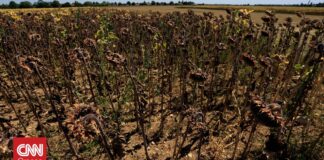 Η ακραία ζέστη γίνεται πιο συχνή και πιο έντονη, σύμφωνα με τον Παγκόσμιο Μετεωρολογικό Οργανισμό