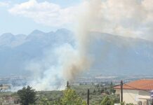 Φωτιά στην Ελάτεια Φθιώτιδας – Ήχησε το 112
