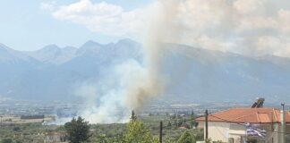Φωτιά στην Ελάτεια Φθιώτιδας – Ήχησε το 112