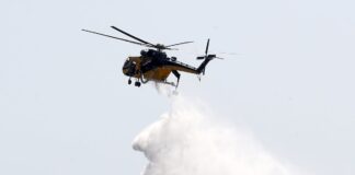 Έβρος: Φωτιά σε χαμηλή βλάστηση στη Γιαννούλη Σουφλίου