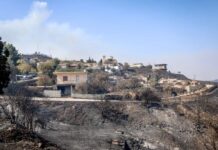 Ολοκληρώθηκε η πληρωμή της ειδικής στήριξης για πυρκαγιές 2025 στη Χίο