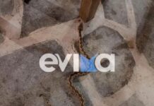 Στιγμές πανικού σε ταβέρνα στην Εύβοια: Φίδι «έκοβε βόλτες» κάτω από τα τραπέζια την ώρα που οι θαμώνες έτρωγαν
