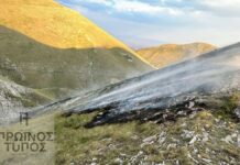 Φωτιά σε δασική έκταση στο Κατάφυτο Άνω Νευροκοπίου – Ισχυρές δυνάμεις της Πυροσβεστικής στο σημείο