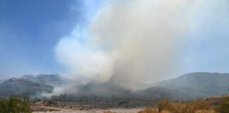 Πάνω από 7.000 στρέμματα η πληγείσα έκταση από τη φωτιά στην Αιγιάλεια