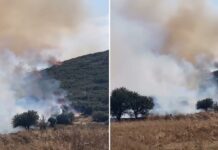 Χωρίς ενεργό μέτωπο η φωτιά στο Στεφάνι Κορινθίας