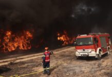 Έξι συλλήψεις σε Ηλεία, Έβρο, Αττική, Χίο, Θεσπρωτία και Φωκίδα για πρόκληση πυρκαγιών