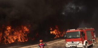 Έξι συλλήψεις σε Ηλεία, Έβρο, Αττική, Χίο, Θεσπρωτία και Φωκίδα για πρόκληση πυρκαγιών