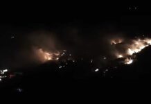 Οριοθετήθηκε η πυρκαγιά στην Κριτσά – Παραμένουν ισχυρές πυροσβεστικές δυνάμεις