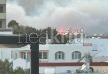 Χωρίς ενεργό μέτωπο η φωτιά – Παραμένουν δυνάμεις της Πυροσβεστικής στην περιοχή