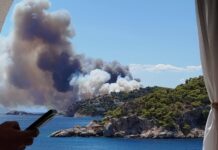 Δήμαρχος Σαλαμίνας για τις φωτιές: «Έχουν καεί σπίτια στα Περιστέρια