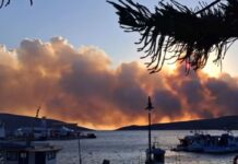 Μαίνεται η φωτιά στη Σκύρο: Ολονύχτια η μάχη με τις φλόγες και τους ισχυρούς ανέμους – Επιχειρούν τα εναέρια μέσα