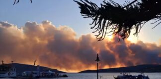 Μαίνεται η φωτιά στη Σκύρο: Ολονύχτια η μάχη με τις φλόγες και τους ισχυρούς ανέμους – Επιχειρούν τα εναέρια μέσα
