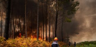 Τρεις συλλήψεις σε Κορινθία και Λέσβο για φωτιές από αμέλεια