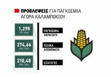 Με προοπτικές για τιμή ως 24 λεπτά το Σεπτέμβριο φέτος το καλαμπόκι, υπό πίεση οι εξαγωγές από την Ουκρανία