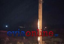 Αναζωπυρώθηκε η φωτιά στον Αετό – Δυσχεραίνουν την κατάσβεση οι άνεμοι