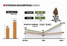 Καλλιέργεια με υποσχέσεις για πρόσοδο έως 260 ευρώ το στρέμμα η κινόα, χαμηλό κόστος αλλά και ειδικά πριμ