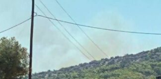 Βελτιωμένη η εικόνα της φωτιάς στον Λουτρόπυργο Αττικής
