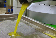 Μειωμένη κατά 15% η αξία των εξαγωγών ελαιολάδου και ελιάς της ΕΕ στο α’ πεντάμηνο 2026