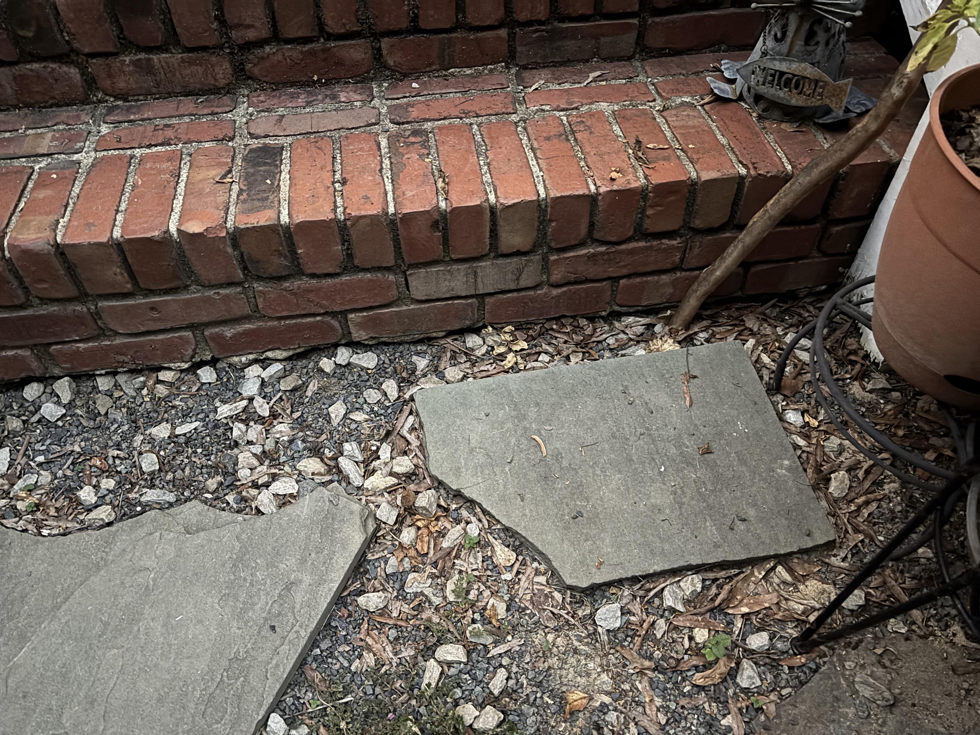 Οπτική ψευδαίσθηση, φίδι