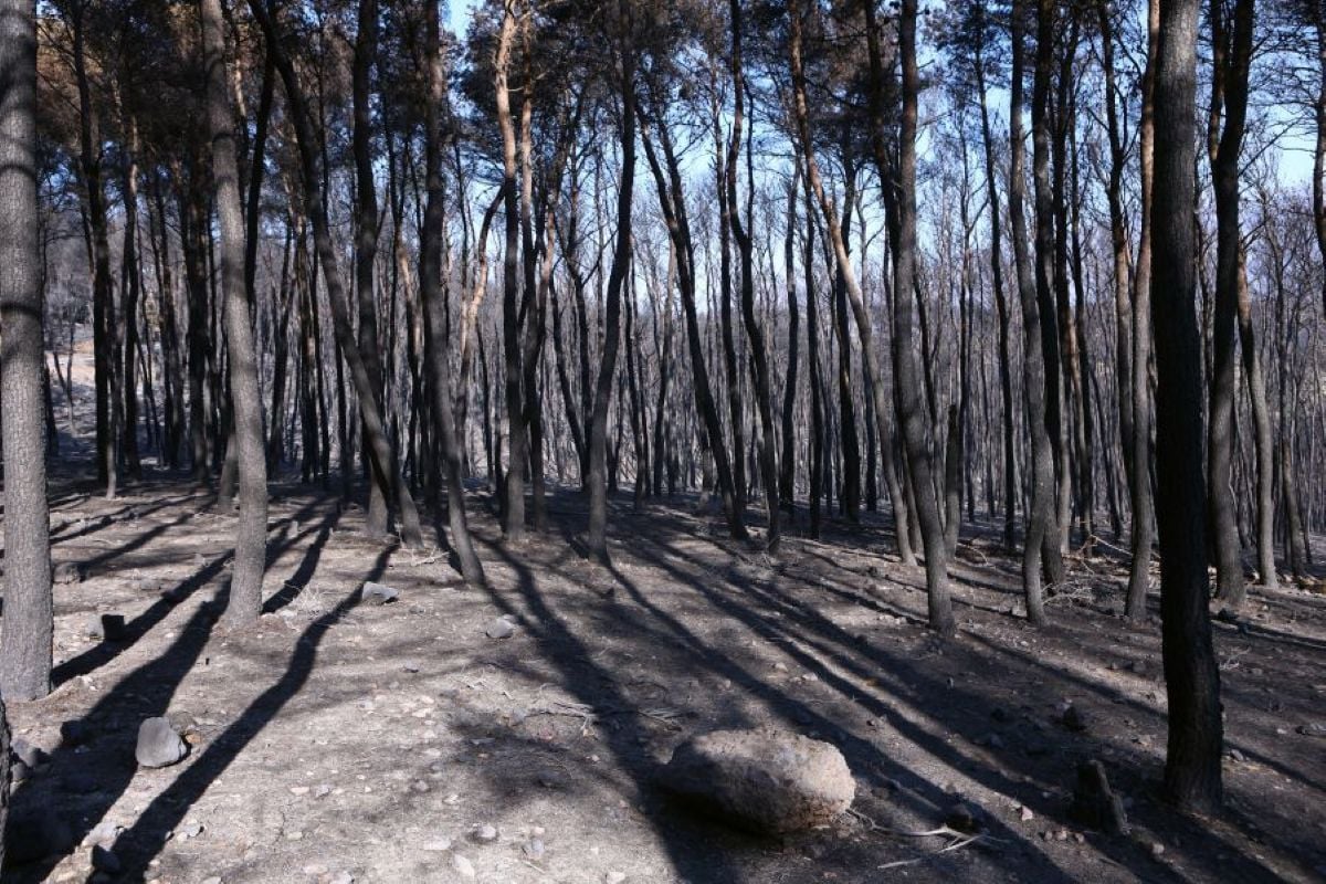 Πόρτο Γερμενό - εικόνες καταστροφής μετά την πυρκαγιά