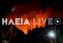 Πυρκαγιά στην Αλφειούσα Ηλείας – Στο σημείο 30 πυροσβέστες και 7 οχήματα