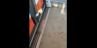 Αιματηρή επίθεση στη Βούλα: Άνδρας επιτέθηκε με μαχαίρι και τραυμάτισε επιβάτη μέσα στο Τραμ