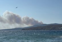 Πάνω από 3.600 στρέμματα η καμένη έκταση σύμφωνα με την υπηρεσία Copernicus