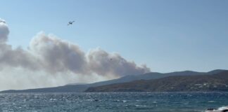 Πάνω από 3.600 στρέμματα η καμένη έκταση σύμφωνα με την υπηρεσία Copernicus
