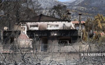 Φωτιές στη Δυτική Αττική: Τα μέτρα της κυβέρνησης για τη στήριξη των πληγέντων