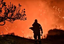 Υψηλός κίνδυνος πυρκαγιάς σήμερα σε Αττική, Στερεά Ελλάδα, Πελοπόννησο και Έβρο – Δείτε τον χάρτη