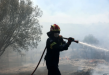 Φωτιά στα Πηγαδάκια Λέσβου – Επιχειρούν επτά οχήματα της Πυροσβεστικής