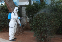 Αυξάνονται τα κρούσματα ιού του Δυτικού Νείλου