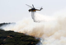 Φωτιά στο Αγιόφυλλο Τρικάλων – Μήνυμα από το 112 για ετοιμότητα