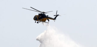 Φωτιά σε χαμηλή βλάστηση στο Νέο Ρύσιο Θεσσαλονίκης