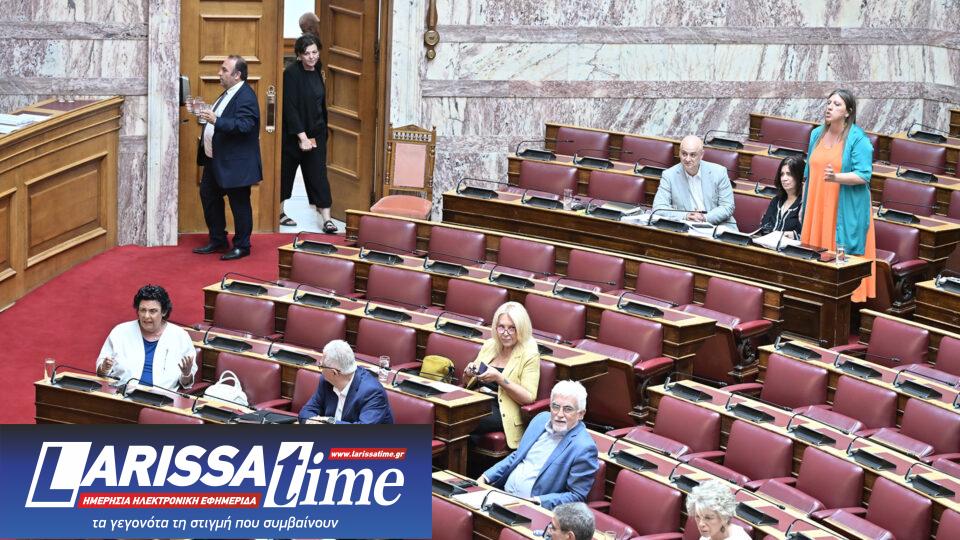 Βουλή: Ενταση στην ψηφοφορία για Ακρίτα – Δεν εξελέγη στη θέση της αντιπροέδρου-1