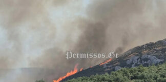 Θήβα: Νέες εικόνες και βίντεο από τη φωτιά στον Μύτικα