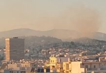Χωρίς ενεργό μέτωπο η φωτιά στο Άλσος Γαλατσίου
