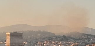 Χωρίς ενεργό μέτωπο η φωτιά στο Άλσος Γαλατσίου