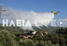 Φωτιά σε αγροτοδασική έκταση στο Χειμαδιό – Επιχειρούν και εναέρια μέσα