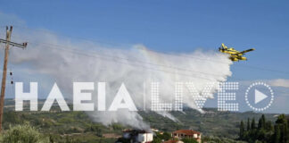 Φωτιά σε αγροτοδασική έκταση στο Χειμαδιό – Επιχειρούν και εναέρια μέσα